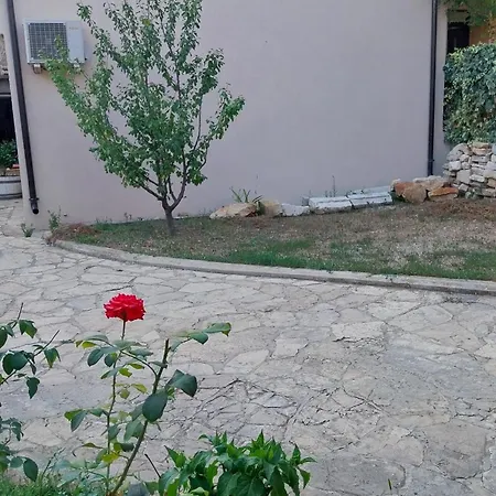Apartament Conclavia Zadar